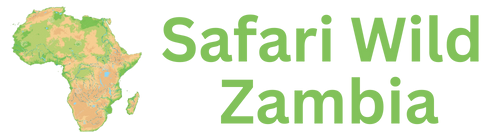 home page (390 × 390px) (415 × 341px) (3)