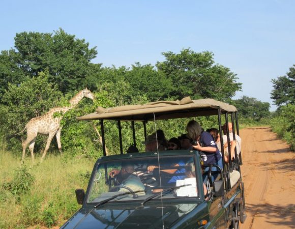 Chobe Day Trip