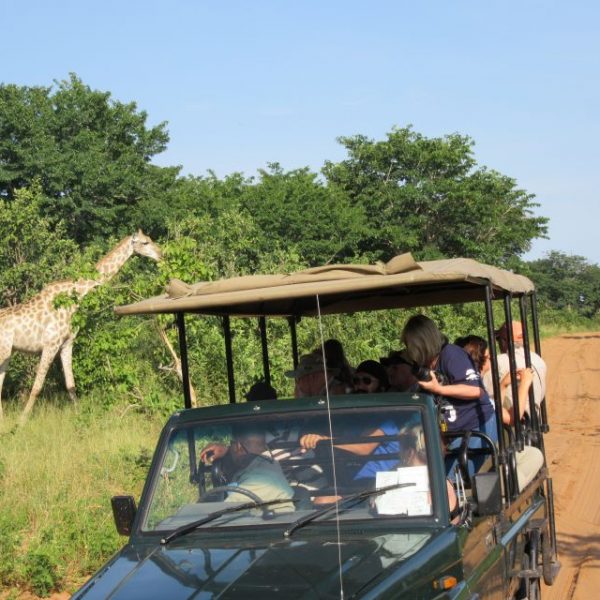 Chobe Day Trip