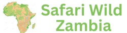 Safari Wild Tours Zambia