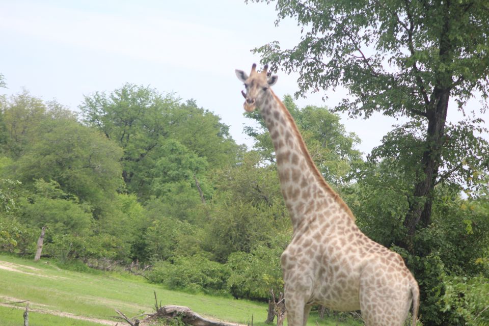 Mosi oa Tunya Park Game Drive