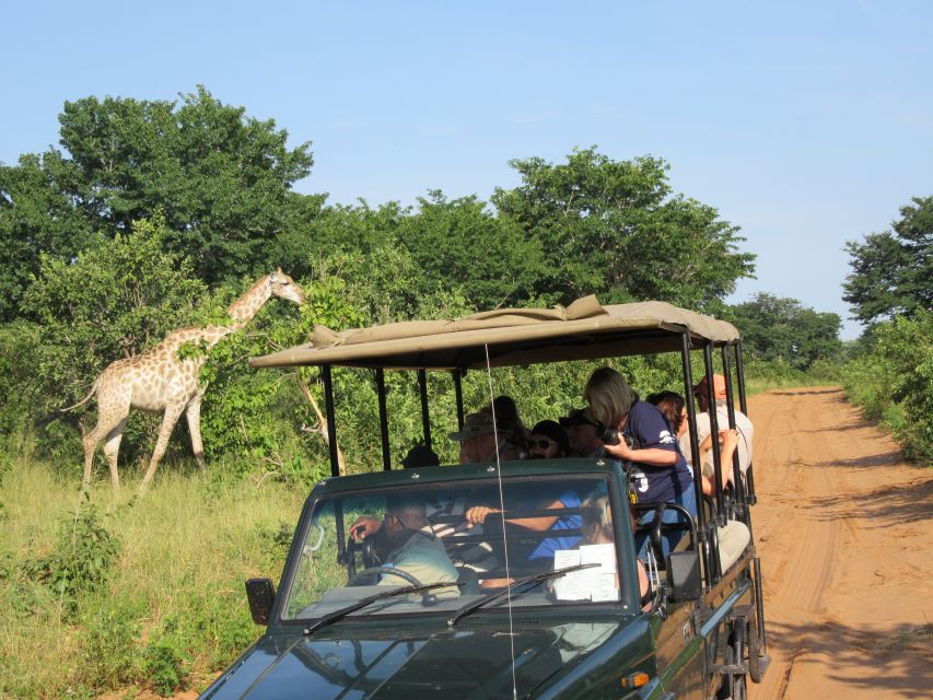 Chobe Day Trip